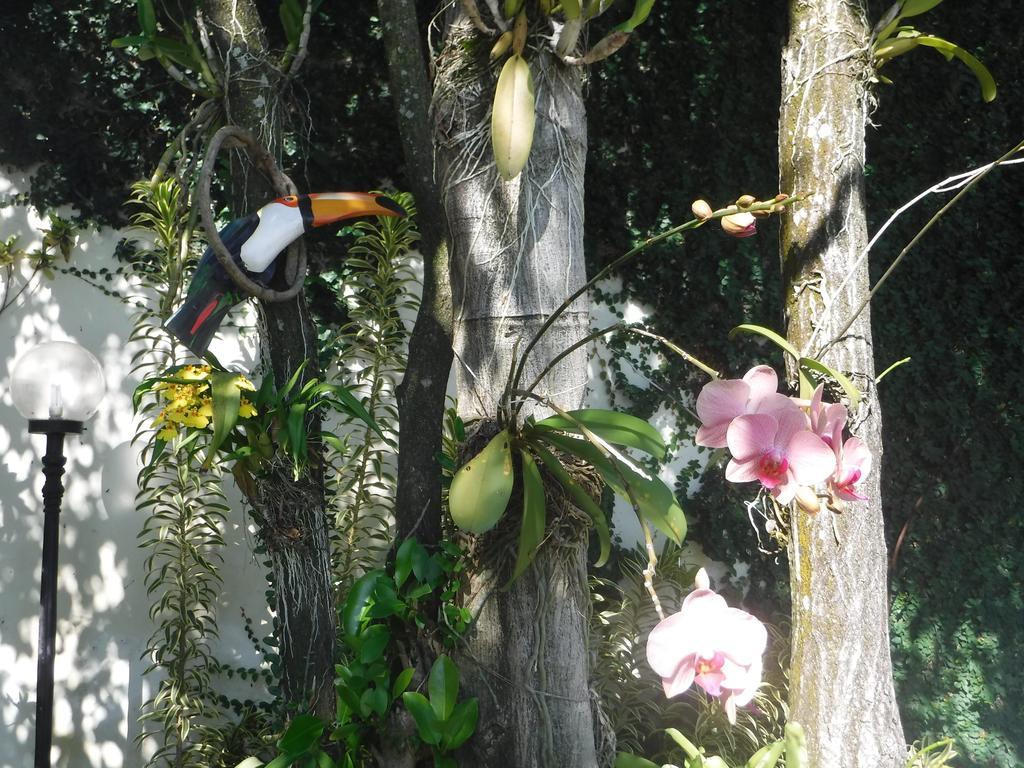 Nature Paradise Boutique Hotel Rio de Janeiro Eksteriør bilde